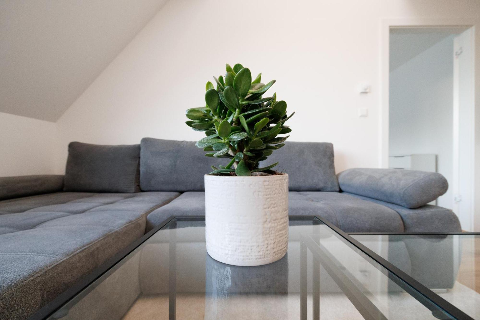 Symphony Apartments 41 - Modern Loft With Terrace And Grill In Central Location Wien Exterior foto
